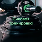 Силовая тренировка