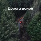 Дорога домой