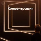 Концентрация