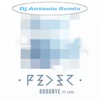 dj Antonio vs Feder – Goodbye (Buddha Bar HitUp Mix)