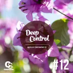 Deep Control vol.12 mixed by Constantine Ice