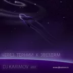 ЧЕРЕЗ ТЕРНИИ К ЗВЕЗДАМ