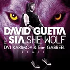 David Guetta feat. Sia - She Wolf (DVJ KARIMOV & Tom GABREEL remix)