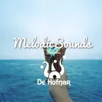 Melodic Sounds Guest Mix
