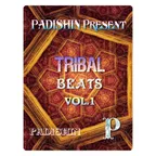 TRIBAL BEATS VOL.1 - mixed by dj Padishin (4CD) (2015)