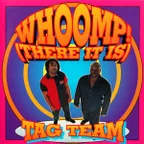 Tag Team - Whoomp! (Arthur Davidson & Hager Remix)