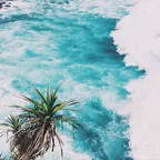 light blue