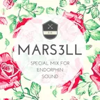 Special Mix For ENDORPHIN SOUND