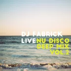 NUDISCO/DEEP MIX (vol.2)