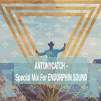 Special Mix For ENDORPHIN SOUND