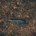 Natural Elements (Episode 90)