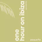 ONE HOUR ON IBIZA 034