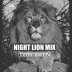 TOMI OWEN - Night Lion Mix (CD #3)