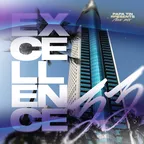 EXCELLENCE MIX 33