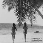 Sizzlebird - Rising Winds