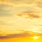 Sunsets 248