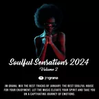 Soulful Sensations 2024 Vol.02