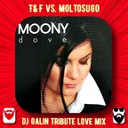 Moony feat.T&F vs. Moltosugo - Dove (DJ GALIN Tribute Love Mixes)