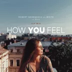 How You Feel (VIP Mix)