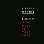 Calvin Harris - How deep is your Love (SizeParty Remix)