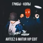 Грибы - Копы (Arteez  & Matur VIP Radio Edit)