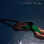 The Ambientalist - Sanctuary