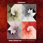 Gotye - Somebody (Shebi & Soheil Ray Afro House Remix)