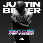 Justin Bieber – What Do You Mean (Shebi X Allrizo Afro House Remix)