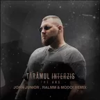The Urs - Taramul Interzis (John Junior, Ralmm, Modoi Remix)