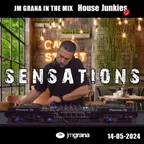 In The Mix House Junkies (14.05.2024)