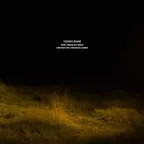 Hania Rani - Don't Break My Heart (Cristian Tate Unofficial Remix)