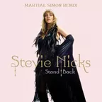 Stevie Nicks - Stand Back (Martial Simon Remix)