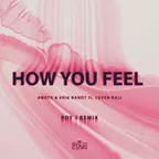 ANOTR & Erik Band ft. Leven Kali - How You Feel (Roy J Remix)