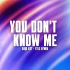 Jax Jones, RAYE, Eran Hersh - You Don't Know Me (Syls EDIT)