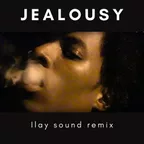 Roy Woods - JEALOUSY (ILAY sound Remix)