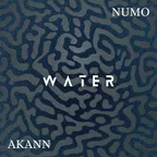 Tyla - Water [Numo & Akann Melodic Afro]