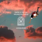 Empire Of The Sun - Walking On A Dream (Hoodia Remix)