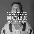 Calvin Harris & Disciples - How Deep Is Your Love (APRESKI Remix)