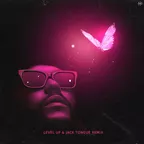 THE WEEKND - MOTH TO A FLAME (LEVEL UP & JACK TONGUE REMIX)