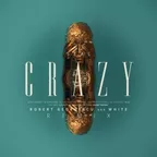 Seal - Crazy (Robert Georgescu And White Remix)