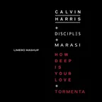 Calvin Harris x Marasi - How Deep Is Your Love x Tormenta (Limero "Afro House" Mashup)