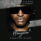 Taio Cruz & Flo Rida X Eran Hersh & Marasi - Hangover (GANGSTER Blend)