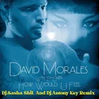 David Morales-How Would You Feel(Sasha ShiL And Antony Key Remix))