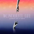 Andrew Dum vs. Hurts - Wonderful Life (Original Mix)