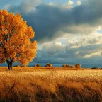 DJ GSX-R - Autumn Mix
