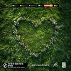 Kolya Funk, PHURS, Catching Sunrises - You’re My Heart, You’re My Soul (Alex Shu Remix)