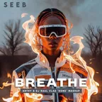 Seeb - Breathe (Arthy & Dj Raul Vlad 'Home' Mashup)