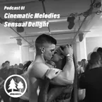 Pimp.Events Podcast 01 (Cinematic Melodies)