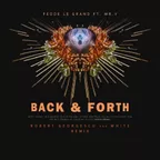 Fedde Le Grand ft. Mr.V - Back & Forth (Robert Georgescu and White Remix)