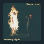 Metro Boomin, Future & Don Toliver - Too Many Nights (Thunar's Late Night Remix)